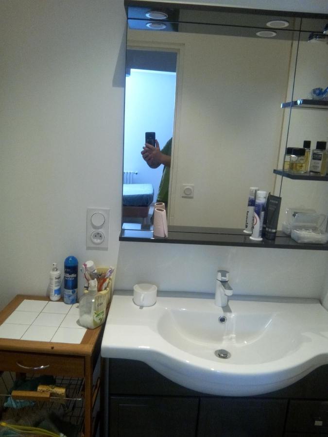 Les Chambres Studios De Pleslin-Foucher Bagian luar foto